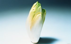 方案全面对比分析